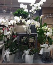 L'Atelier Fleuri image 17