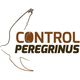 logo-peregrinus.jpg