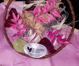 Blumen Belga Bild 2