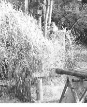Biot Forage image 1