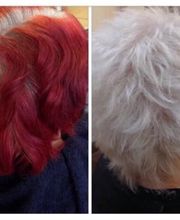 Le Caméléon Coiffure image 20