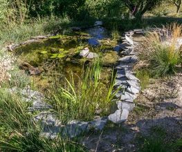 Nicolas Varidel Nature+Jardins Bild 5