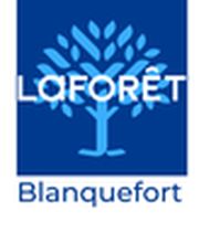 Laforêt immobilier image 6