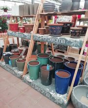 Gallery Professionale