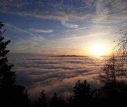 Bestattungen Wenig Bild 3
