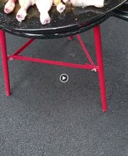 paêlla géante 21 de pascal et Rotisseur image 8