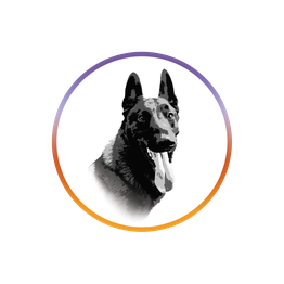 Dog Mood