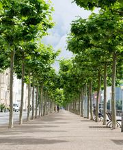 Außenansicht - DBV Deutsche Beamtenversicherung Pascal Zajac -Beamtenversicherung in  Düsseldorf