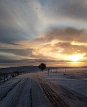 Taxi du sancy image 7