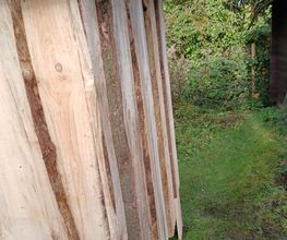 HalveHof Bild 4