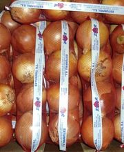 CEBESTUR,S.L. imagen 14