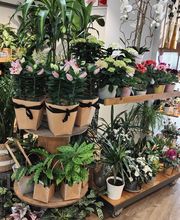 Cœur de Fleurs image 8