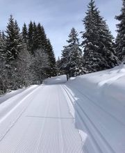 Dätwyler Sports Bild 11