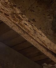 Solution 3D image 11