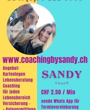 PRAXIS LIFESTYLE TADROSS Bild 5