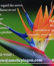 Pingon Amélie image 9