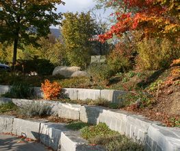 Schneider AG Gartenbau-Architektur Bild 6