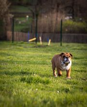 Winny Bull Family image 14