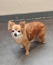 Tootsie image 7