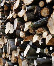 Société Alpine Des Bois image 1