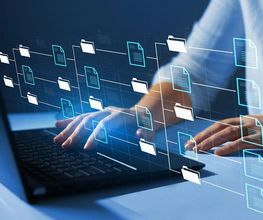 LGFJ IT Consulting imagen 8