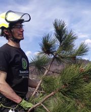 Baumglück Baumpflege GmbH Bild 6