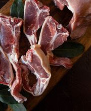 Gallery Professionale