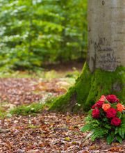 Abschied Bestattungen Bild 6