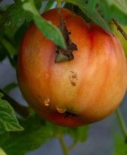 Harry Fichtner Fotostudio Bild 19