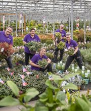 Plantencentrum Velden afbeelding 12