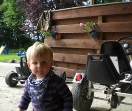 Ferienhof Bruns Bild 28