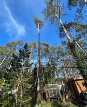 WhatsApp Bild 2025-03-31 um 09.39.36_47a3a9cc.jpg