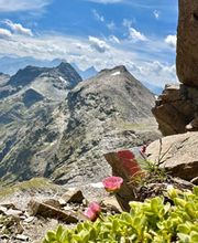 Nature of Man Bild 1