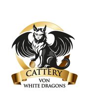 Von White Dragons Bild 1