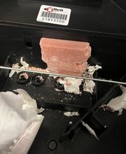 insectacon Schädlingsbekämpfung Bild 6