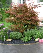 Garten- und Landschaftsbau Martin Wagner Bild 5