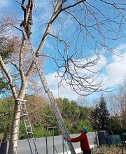 RS Elagages Services image 17