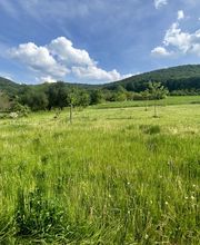 Gartenservice Mark Miess Bild 26