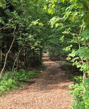 FriedWald Friolzheim Bild 1