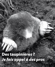 Farago Cantal image 10