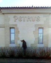 Terrien Jean-Luc image 3