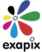 Exapix image 2