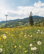 Elektrizitätswerk Obwalden Bild 8
