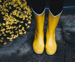 pexels-photo-712883.jpeg