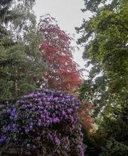 Bremermann Baumschulen Bild 1