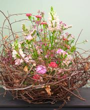 Heilsarmee Buchseegut Bild 5