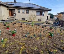 Haus-Garten-Service Bild 6