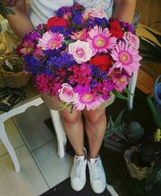 Gallery Cliente