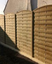 Société Moris image 2