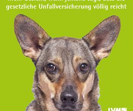 LVM Versicherung Thomas Grote - Versicherungsagentur Bild 4